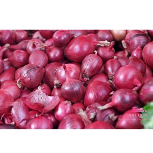 Onion