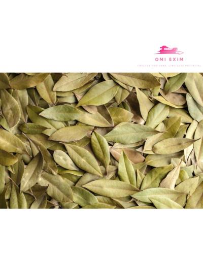 Curry leaves