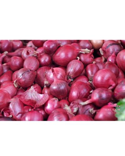 Onion